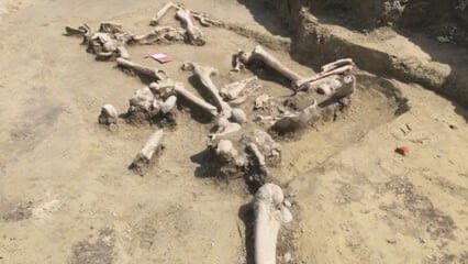 oktothek_episode_thumb_img