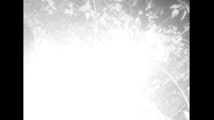 oktothek_episode_thumb_img