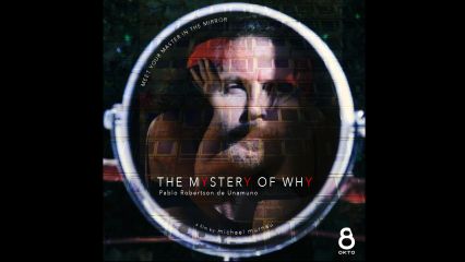 Posterframe von The Mystery of Why