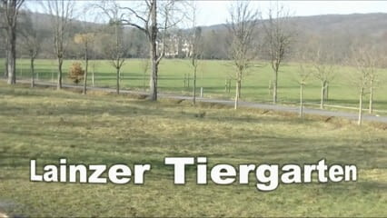 oktothek_episode_thumb_img