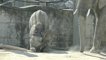 oktothek_episode_thumb_img