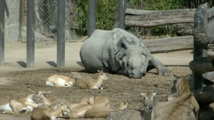 oktothek_episode_thumb_img