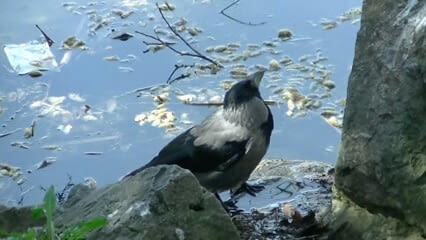 oktothek_episode_thumb_img