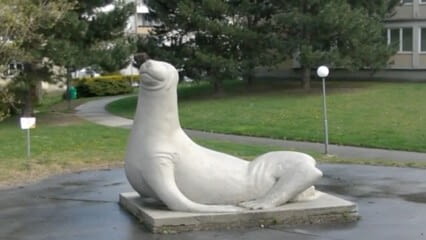 oktothek_episode_thumb_img