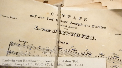 Posterframe von Der kleine Stadtstreicher: Die großen Wiener Musiker Beethoven
