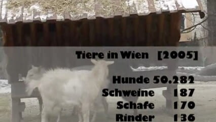 oktothek_episode_thumb_img