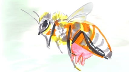 oktothek_episode_thumb_img