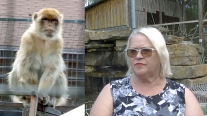 oktothek_episode_thumb_img