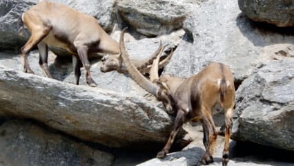 oktothek_episode_thumb_img