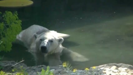 oktothek_episode_thumb_img