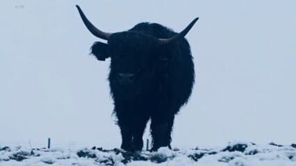 oktothek_episode_thumb_img