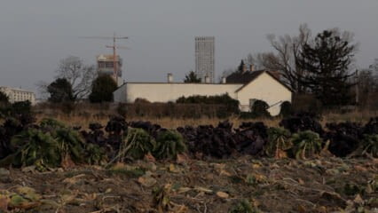 oktothek_episode_thumb_img