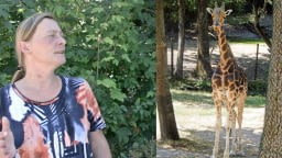 Malý městský tulák: ZOO Schmiding