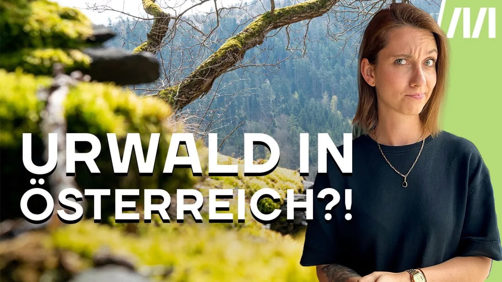 REPORTAGEN ZU SUPERREICHEN UND URWALD IN ÖSTERREICH